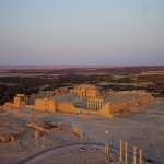 palmyra-10