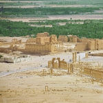 palmyra-8_1